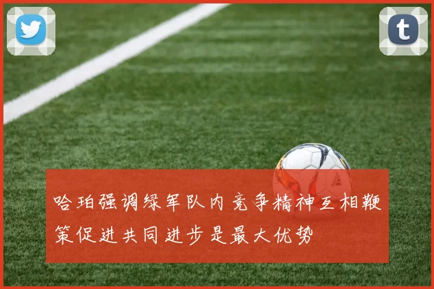 哈珀强调绿军队内竞争精神互相鞭策促进共同进步是最大优势